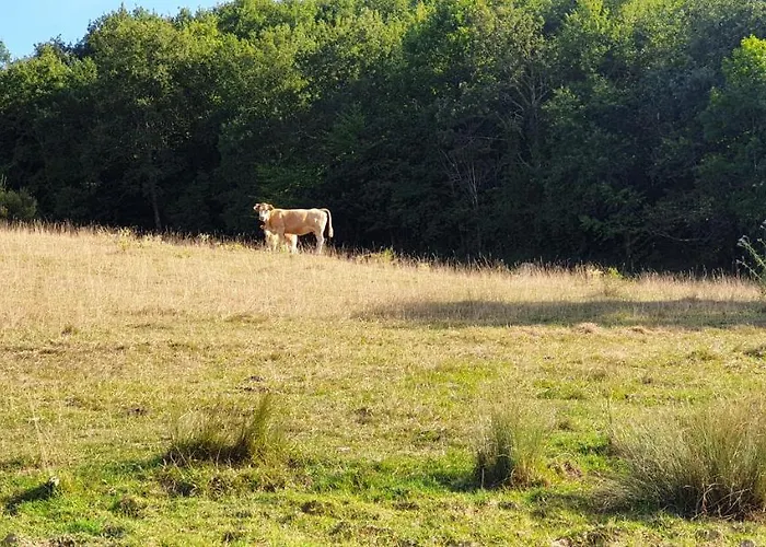 Дом отдыха Magnolia Domaine Cap De Coste Saint-Frajou